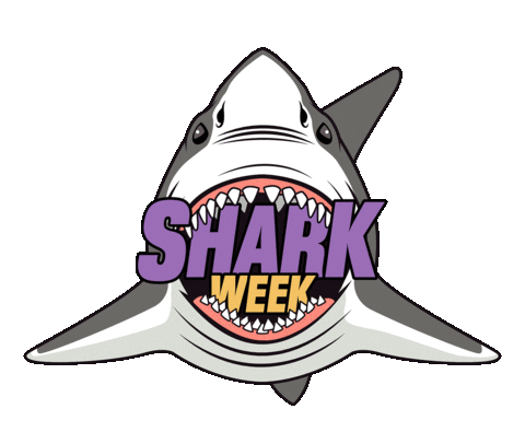 Shark Week Water Sticker