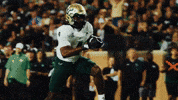 College Football GIF by USF Athletics