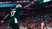 College Football GIF by USF Athletics