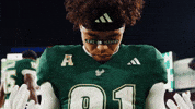College Football GIF by USF Athletics