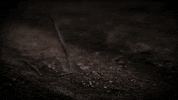 GIF by The Leftovers HBO