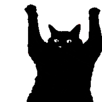 srodan art cat animation animated GIF