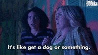 Get A Dog Or Something
