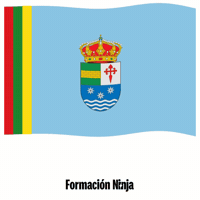 Bandera GIF by Formación Ninja