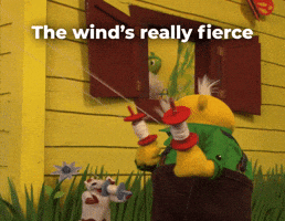 Wind's really fierce