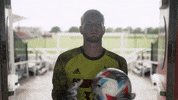University Of Louisville Go Cards GIF by Louisville Cardinals