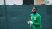 French Yes GIF by Celtic Football Club