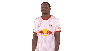 Joking Red Bull Sticker by FC Red Bull Salzburg