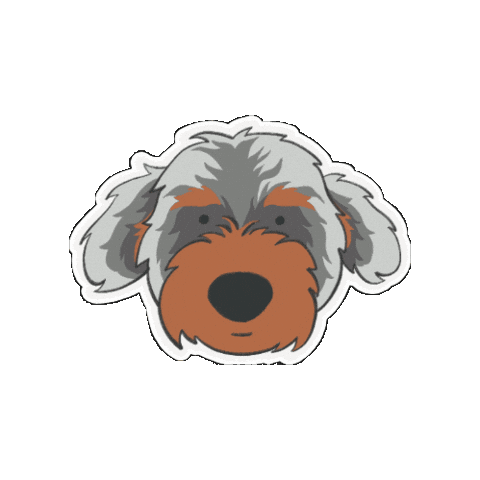 Bernedco giphygifmaker Sticker