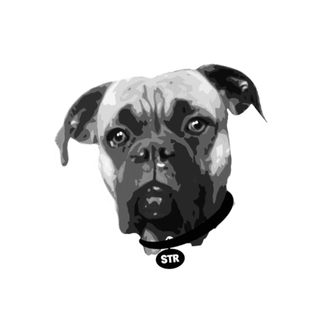 marcellefivaz giphyupload Sticker