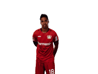 Bayer 04 Werkself Sticker by Bayer 04 Leverkusen
