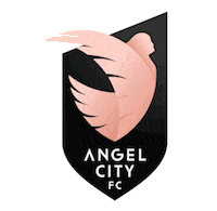 Los Angeles Soccer Sticker by Angel City FC