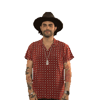 Hat Country Sticker by Niko Moon