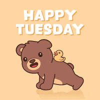 Push Up Teddy Bear GIF by BEARISH