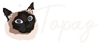 Siamese Cat Sticker
