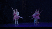 Nutcracker GIF by English National Ballet