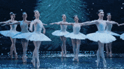 Nutcracker GIF by English National Ballet