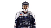 Masque Giroux Sticker by Les Ducs d'Angers