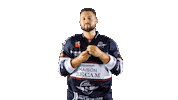 Hockey Ice Sticker by Les Ducs d'Angers