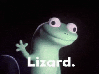 Lizard Lizard Lizard GIF