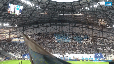 om_officiel giphygifmaker GIF