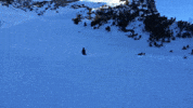 Fail Rocky Mountains GIF by Jan Metternich