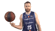 Liga Endesa Spinning Sticker by ACB