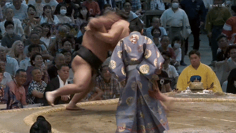 TZ85 giphyupload sumo 2023 nagoya basho hokutofuji GIF