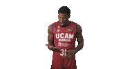 Dylan Ennis Sport Sticker by UCAM Universidad