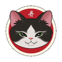 Cat Not Kidding Sticker