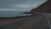 Ride GIF by Harley-Davidson