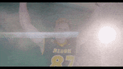 North Dakota State Bison GIF by NDSU Athletics