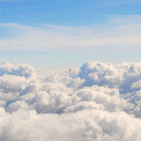 y00k bernini floathead float-head GIF