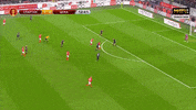 Football Soccer GIF by FC Spartak Moscow