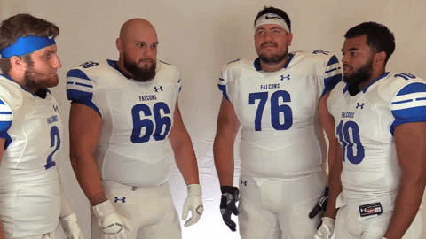 CUWFalcons giphyupload GIF
