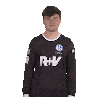 Posing Line Up Sticker by Bundesliga