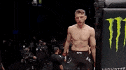 Sport Mma GIF by UFC