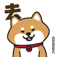 Doge Where Is It Sticker by SHIBAINC