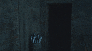 hbo GIF by Game of Thrones