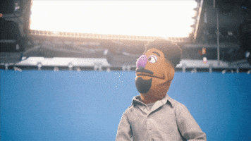 Sesame Street Muppets GIF by ABC Network
