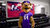 Mascot Flex GIF by Linfield College