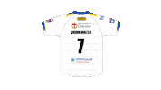 The Wire Sticker by Warrington Wolves