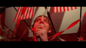 america GIF by Juiceboxxx