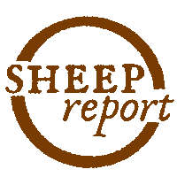 Sheep Sticker by Brown Dog Farm Studio