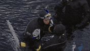 The Amazing Race Love GIF by CBS