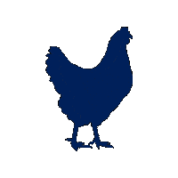 FreshlayFarms_GoldenYolker instagram stickers egg recipes Sticker