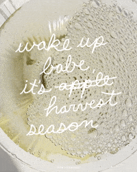 American Made Apple GIF by American Harvest Vodka