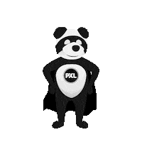 hogeschoolpxl college fly panda superhero Sticker