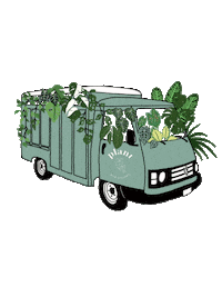Plante Feuille Sticker by Plant and Stories