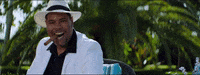 Ultra Music Pitbull GIF by Ultra Records